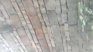 【抖音】如果口交有段位，你是什么段位