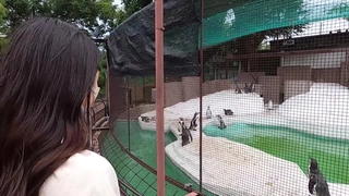 【老马车行】攻略女技师，按摩完小房间半套服务，乳推舔弄，毒龙转打飞机