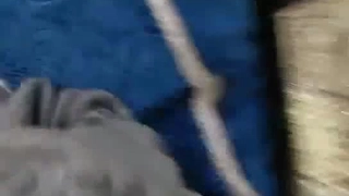 二零二三七月十号_熹宝