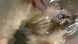 大连海事大学排名【看视频下面的简介】操逼就要操这样的屁股
